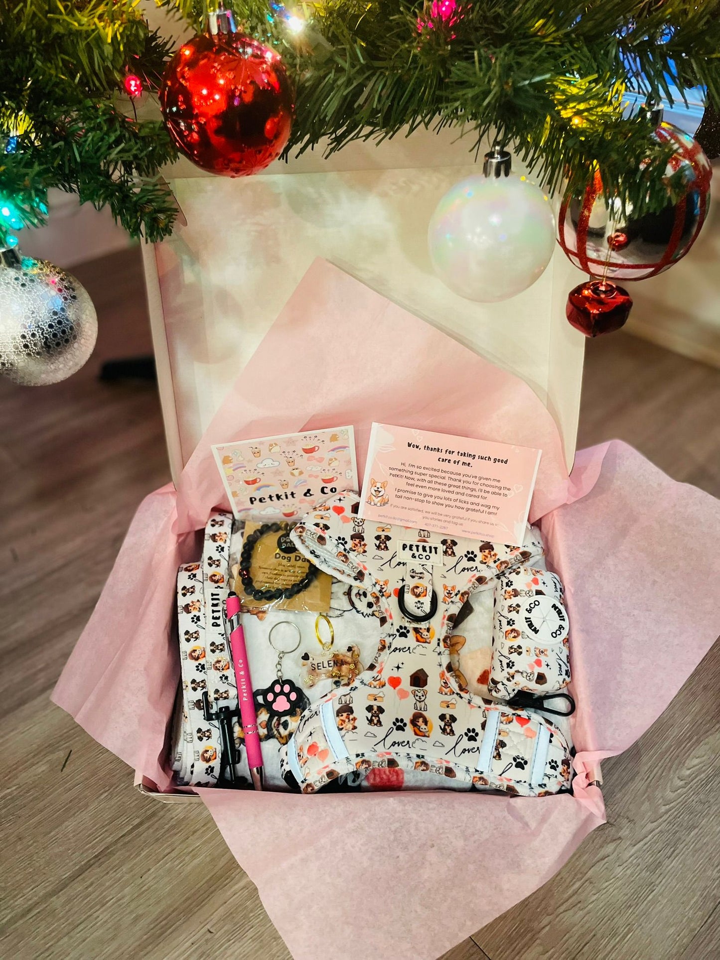 Welcome PetKit Pet Lover