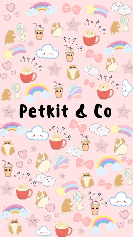 Buying Guide: The Best Pet Accessories at Petkit and Co