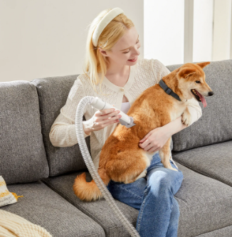 Quiet Pet Groomer