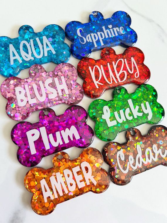 Pet ID Tag